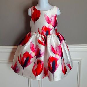 Frais Flower Dress Size 5